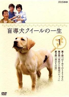 导盲犬小Q之一生