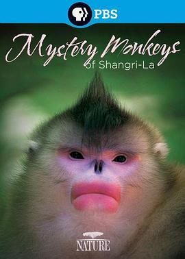 香格里拉神秘之猴