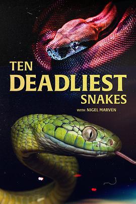 十大毒蛇第二季