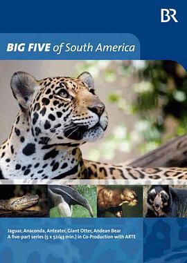 南美五猛兽