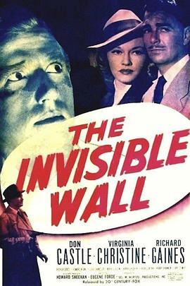 TheInvisibleWall